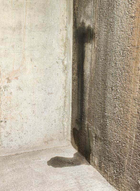 Basement Leak Repair in Fort Myers, FL