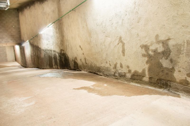 Wet Basement Solutions in Fort Myers, FL